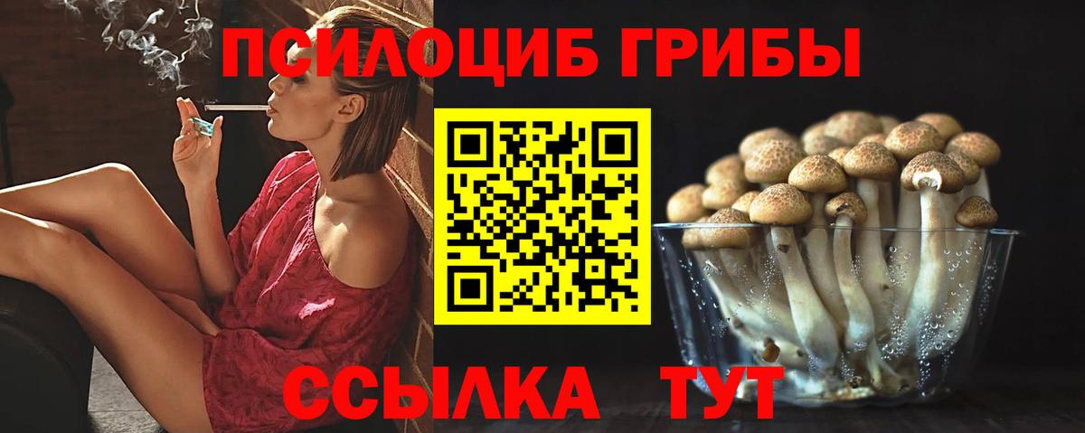 Псилоцибиновые грибы Cubensis  Галлюциногенные грибы MAGIC MUSHROOMS  где купить наркоту  Жигулёвск  Вход с VPN 