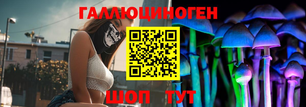Псилоцибиновые грибы Psilocybe Жигулёвск
